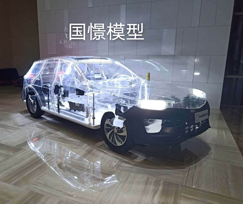 英吉沙县透明车模型